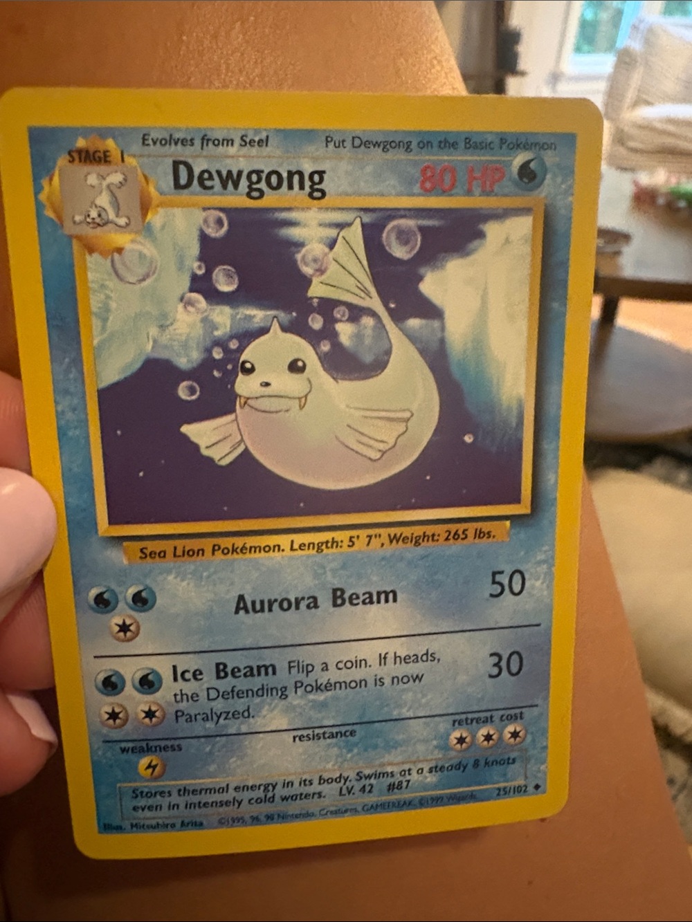 Pokemon Dewgong Card - Blue & Yellow first gen. 25/102